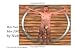 Male Nude Photography- Men 2006- The All Stars