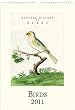Birds Wall Calendar Cavallini 2011
