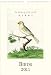 Birds Wall Calendar Cavallini 2011