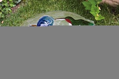 Evergreen 2GB011 Glass Bird Bath, Hummingbird, 18-Inches Diameter [Lawn & Patio]