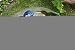 Evergreen 2GB011 Glass Bird Bath, Hummingbird, 18-Inches Diameter [Lawn & Patio]