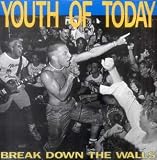 Break Down the Walls [VINYL]