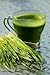 Hard Red Wheat - 1 Lbs - Excellent For Growing Wheatgrass to Juice, Food Storage, Grinding to Make Flour & Bread, Grain, Ornamental Wheat Grass, and Sprouting Seed