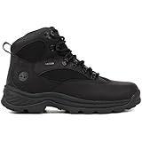 Timberland Men's Chocorua Gore-Tex Hiker