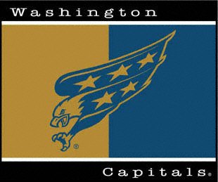 Buy Washington Capitals 60x50 Team Throw by Biederlack