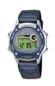 Casio Collection Herren W-94HB-2AVHEF