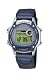 Uhren & Schmuck : Casio Collection Herren W-94HB-2AVHEF