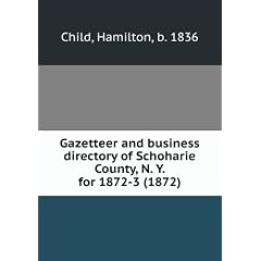 Gazetteer and business directory of Schoharie County, N. Y. for 1872-3 (1872)