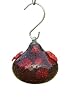 Bird Brain Shimmer Glass Hummingbird Feeder, Red