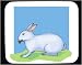 Decorated Mouse Pad with eating, white, rabbit, fur, ears