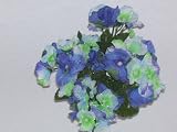 Dew Drop Hydrangea Bush-Blue