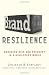Image of Brand Resilience: Managing Risk and Recovery in a High-Speed World