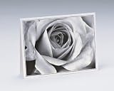 Budding Rose Notes