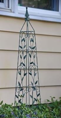 Trellis
