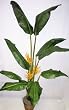 7' Deluxe Heliconia Flowering Tree (orange)