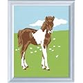 Ravensburger 29519 - S��es Fohlen - Malen nach Zahlen, 8,5x12 cm
