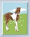 Ravensburger 29519 - Süßes Fohlen - Malen nach Zahlen, 8,5x12 cm