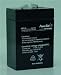 Powerstar RBC1 6V 5Ah Battery Kit- 2 Batteries.