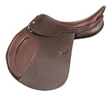 HDR Devrel Legend Jumping Saddle