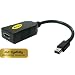 Accell UltraAV B087B-002B DisplayPort/DVI-D Dual-Link Adapter (Black)