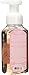 Bath & Body Works Gentle Foaming Hand Soap Warm Vanilla Sugar