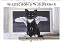 Whiskas Katzenkalender 2012