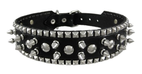 black studded collar