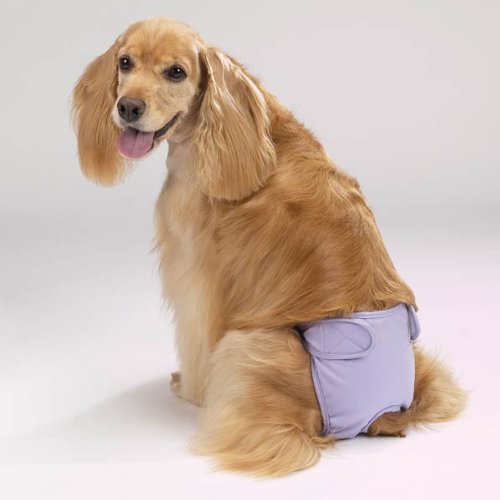 Clearquest Male Pup Pants Xlg Black
