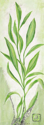 Eurographics TW1032 Hochwertiger Kunstdruck, Thomasyn de Winter, Springtime I 25 x 70 cm Preisvergleich
