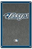 Toronto Blue Jays Team Logo MLB Art Poster Print 22x34