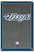 Toronto Blue Jays Team Logo MLB Art Poster Print 22x34