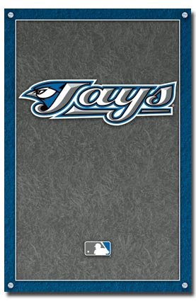 Toronto Blue Jays Logo MLB 22