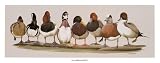 All American Boys by Art La May Art Print Poster Size: 21.5 