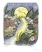 Frogs in the night Emerging Artists Giclee Poster Print by Judy Newcomb, 16x20