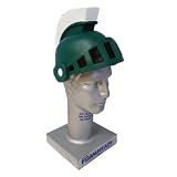 Michigan State Spartans Foamheads Team Hat