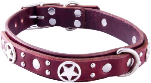 paco dog collars