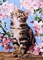 Jumbo Puzzle - Cat in Blossom (500 pieces)
