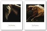 The Dance - Spirit Horse Set by Tony Stromberg 16x16 Art Print Poster