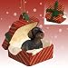 WIRE HAIR DACHSHUND Dog sits in a Red Gift Box Christmas Ornament New RGBD124