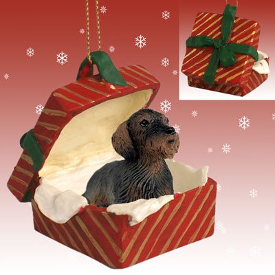 WIRE HAIR DACHSHUND Dog sits in a Red Gift Box Christmas Ornament New RGBD124