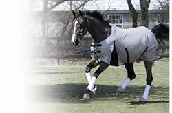 Centaur Athletic Fly Sheet