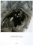 ストリートキャッツワールド1―増子正典写真集