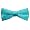 Robins Egg Blue