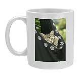 Photo Mug of European brown Tabby Cat - Kitten in carrier from Ardea