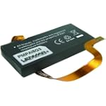 Lenmar Replacement Battery for iPod classic 5G (30 GB)