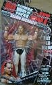WWE PPV 21 SHAWN MICHAELS WRESTLING FIGURE