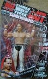 WWE Catch Figurine Shawn Michaels PPV Series 21 Jakks Neuf