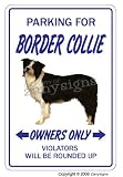 BORDER COLLIE ~Novelty Sign~ dog pet signs gift herding