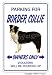 BORDER COLLIE ~Novelty Sign~ dog pet signs gift herding
