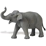41fvcqtpRoL. SL160  Asian Elephant Safari LTD